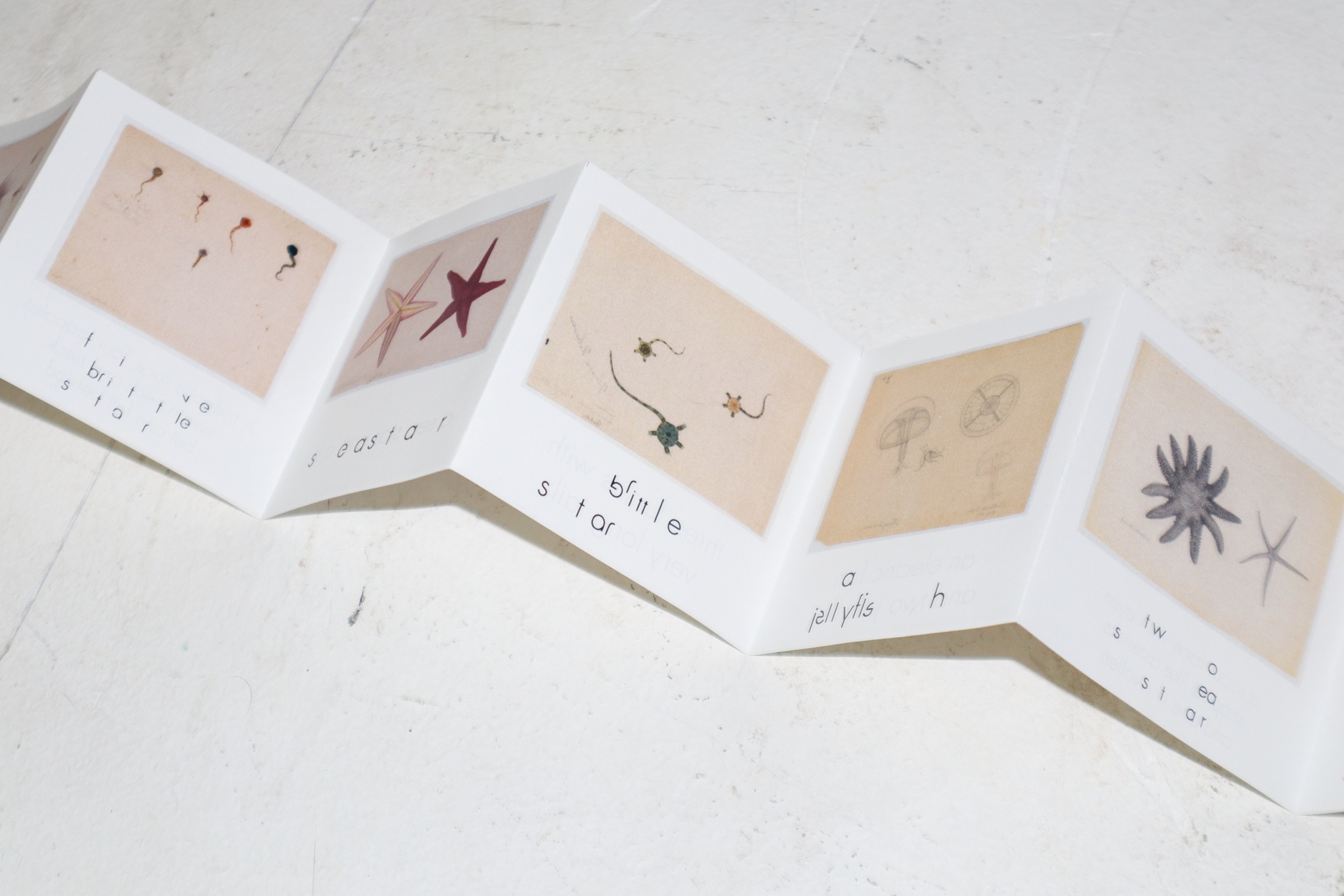 catalogue_2